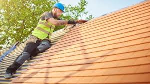 Best Roof Maintenance and Cleaning  in Irving, TX